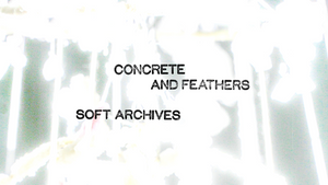 Concrete and Feathers I Soft Archives