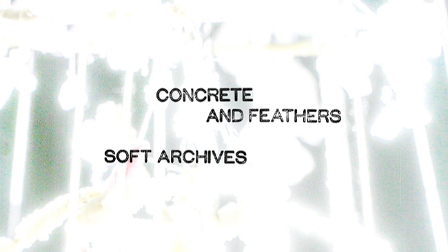 Concrete and Feathers I Soft Archives