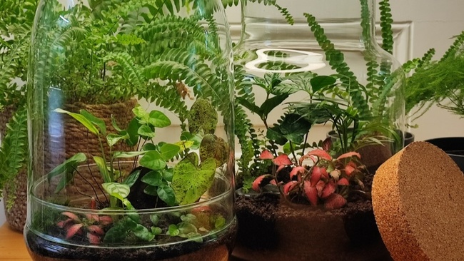 Dschungelglas Workshop