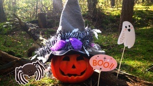 Halloween-Abenteuer mit Hexe Mirabella Krötenschleim