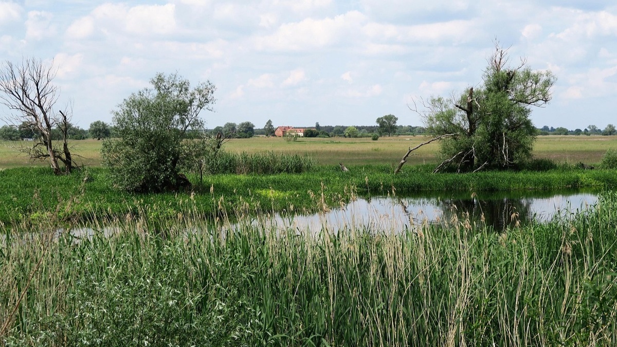 Sternenpark Havelland