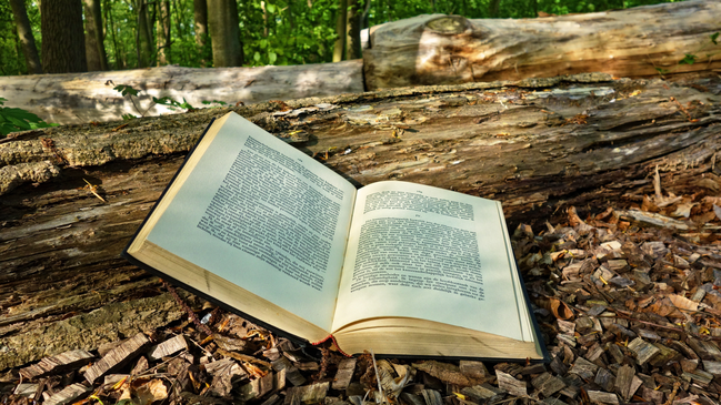 Waldgeschichten - Kinderbuchlesung