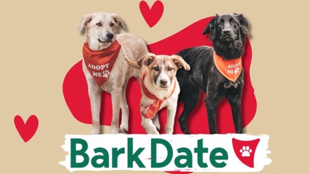 Bark Date - Finde deinen neuen Besten Freund