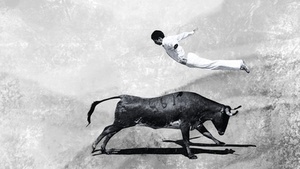 Language & Art Lovers zu 'PULSE - A dialogue of instincts'
