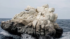 The Invisible Journey by Julien Berthier