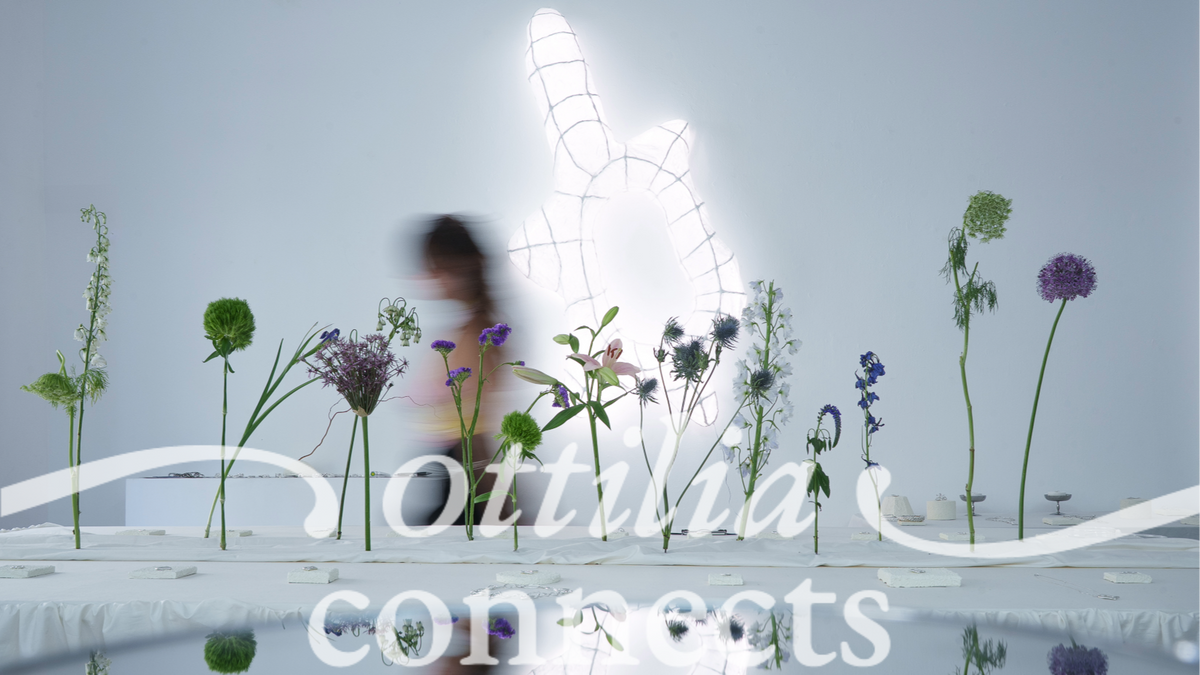 ottilia connects: summer edition