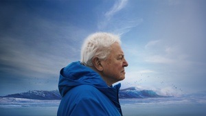 David Attenborough: Ocean (OmU) im Freiluftkino Insel in den Atelier Gardens