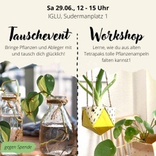 Pflanzentausch & DIY Blumenampel basteln