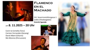 Flamenco Nacht mit Gesang aus Sevilla, Tanz aus New York, Gitarre und Perkussion