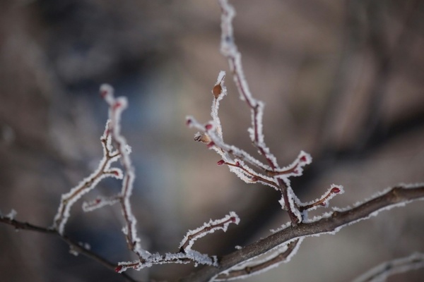 Was geht im Januar 2026 in München?