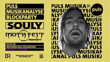 PULS MUSIKANALYSE BLOCKPARTY