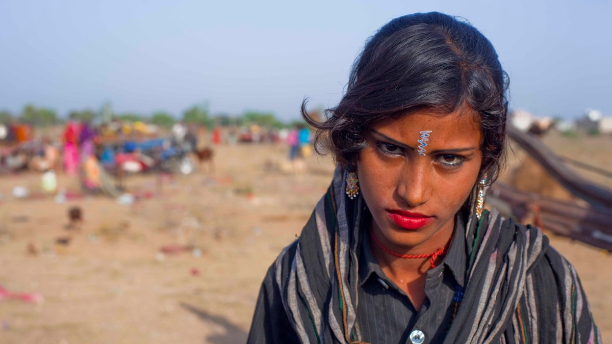 Roma Day Festival 2026: Cobra Gypsies Film in Stuttgart - News Directory 3