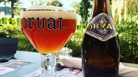 Bier-Tasting Belgische Biere