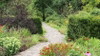 Botanischer Garten Rombergpark