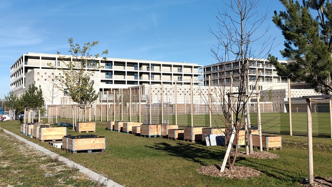 Führung Neufreimann