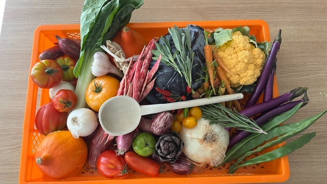 Bye Bye Belly - Pflanzenbasiert leicht ins neue Jahr