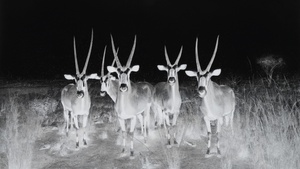 Künstlerinnengespräch mit Jelena Bulajić