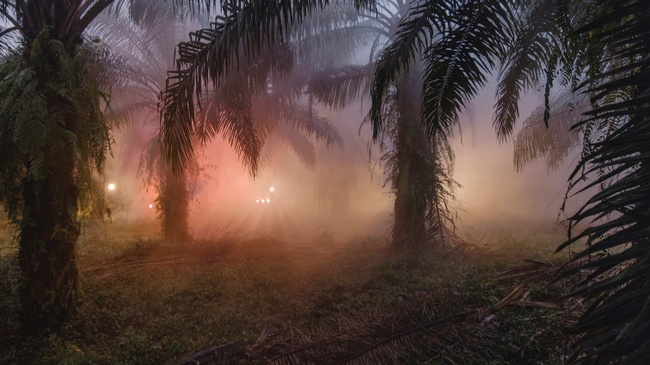 An Invitation to Disappear • Julian Charrière