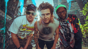Too Many Zooz | Caravan Tour