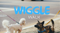 Wiggle Walk