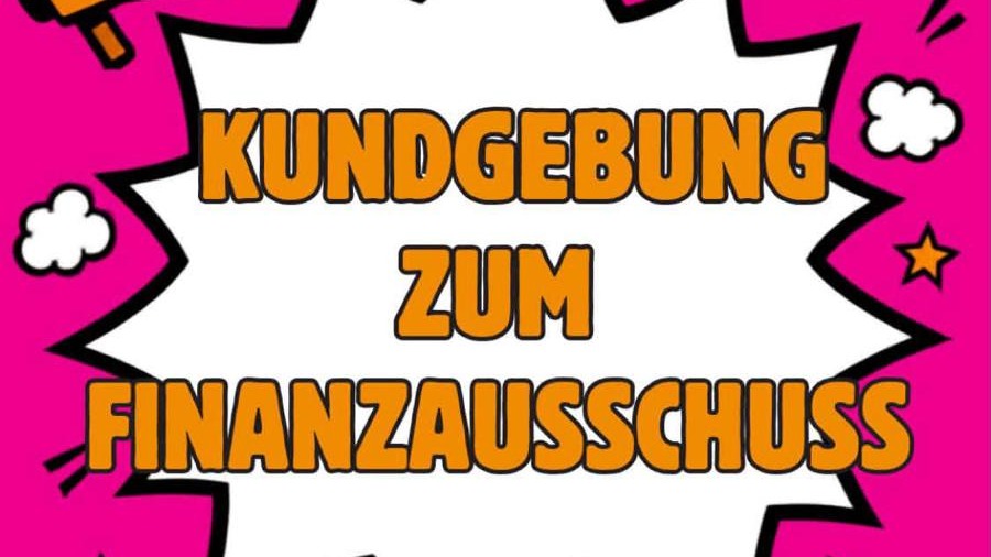 Kundgebung zum Finanzausschuss: Protest gegen die geplanten Sozialkürzungen im Gewaltschutz