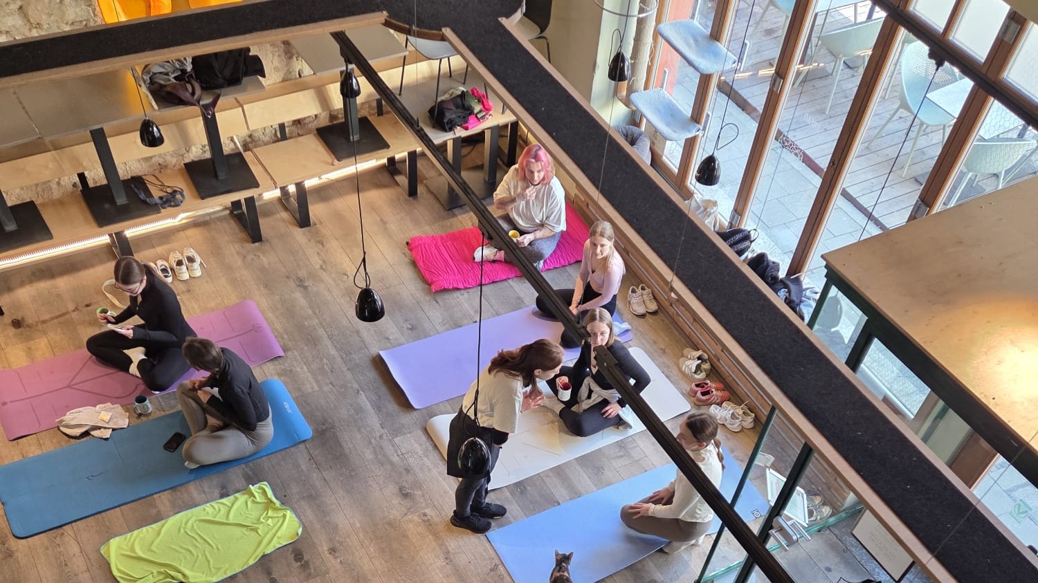 Yoga und Brunch im Katzentempel Regensburg