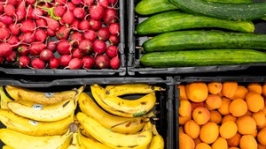 Lebensmittel retten bei der Berliner Tafel