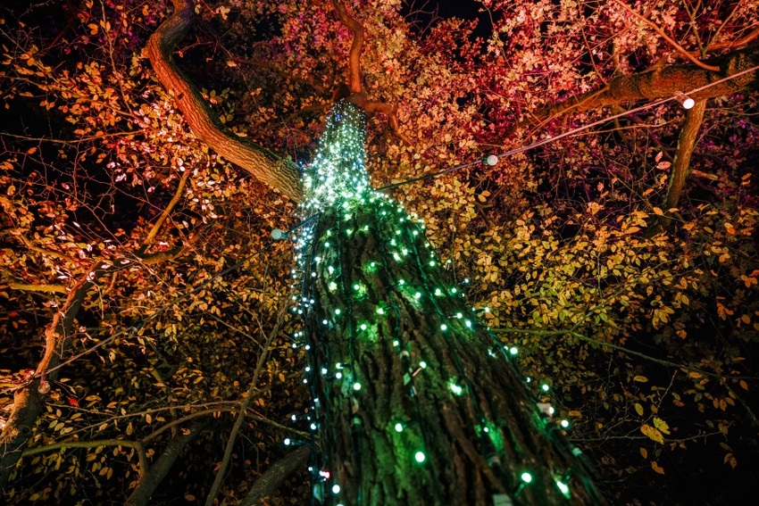 Christmas Garden Hannover