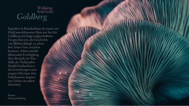 Romanpremiere: Wolfgang Scherreiks, „Goldberg“