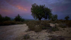 Matinee - Eintritt frei: "High Noon – Europa im Energierausch" mit Regiebesuch