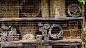 Ein Hotel für unsere Wildbienen