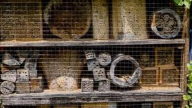 Ein Hotel für unsere Wildbienen