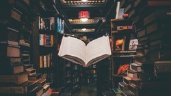 Buchhandlung Bücherbande Klein Borstel