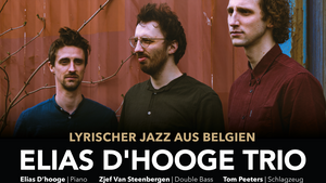 Elias D'hooge Trio - lyrischer Jazz aus Belgien