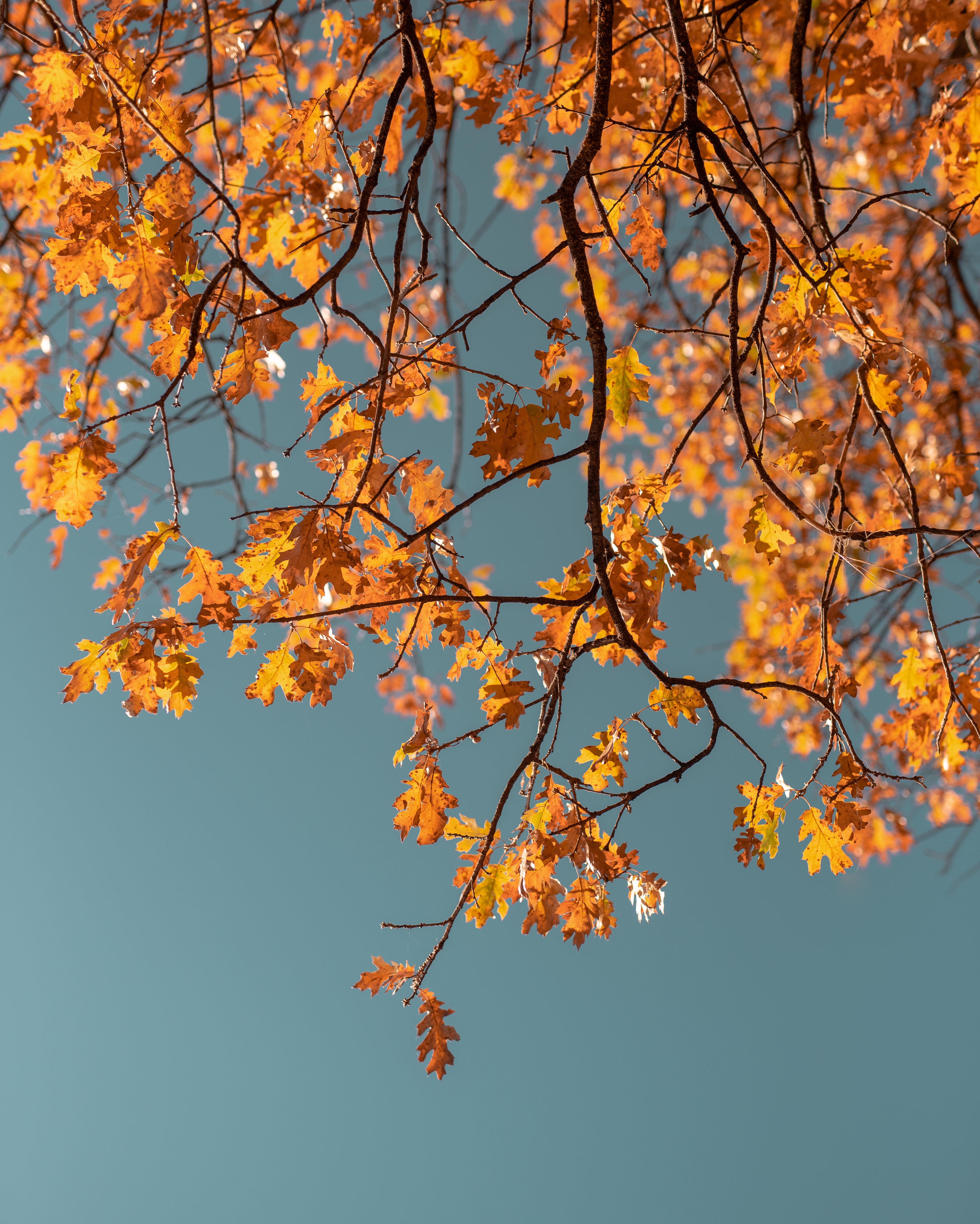 What's happening in October 2026? - Events in Hamburg