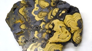 Thematische Führung zum Tag der Erde mit Leonhard Wons: Erde und Erbe – Oberschlesiens Schätze über und unter Tage