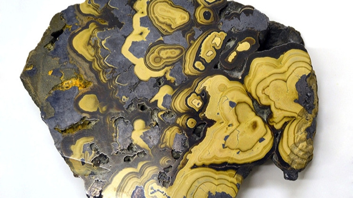 Thematische Führung zum Tag der Erde mit Leonhard Wons: Erde und Erbe – Oberschlesiens Schätze über und unter Tage