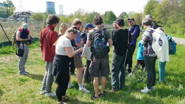 Wildbienenspaziergang entlang des Lockwitzbachs in Laubegast