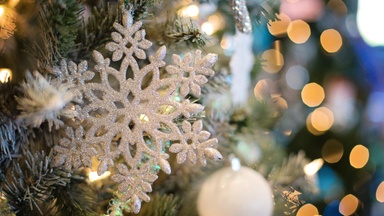 Adventskonzert I das DRESDNER RESIDENZ ORCHESTER in Großröhrsdorf