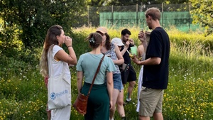 Feierabend-Wildkräuterspaziergang