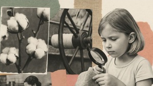 Von der Pflanze zum Pullover - Die Reise unserer Kleidung