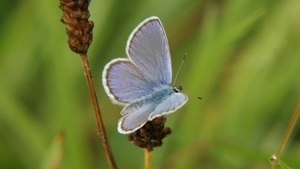 Über Stock und Kieselstein zur Wolle - Aktionsnachmittag für Familien