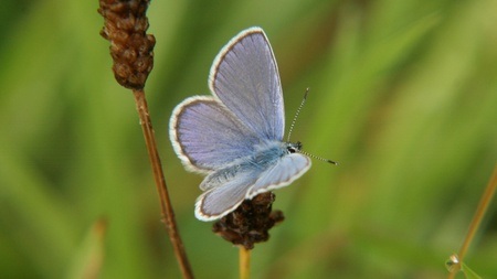 Über Stock und Kieselstein zur Wolle - Aktionsnachmittag für Familien