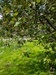 Rombergpark