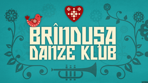 Brindusa Danze Klub