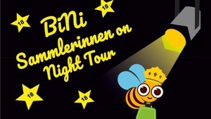 BiNi Frauenflohmarkt