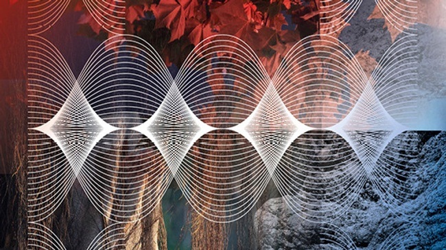 Fünftes Sinfoniekonzert