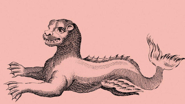 Künstler*innen-Talk zur Ausstellung