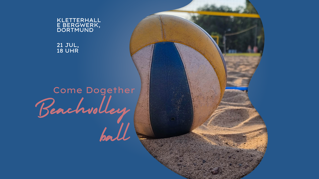Come Dogether: Beachvolleyball