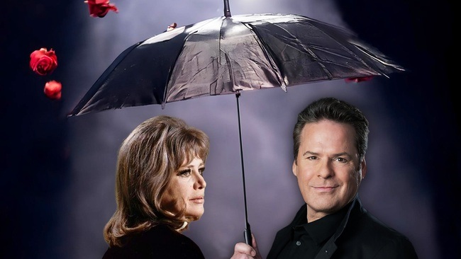 Stephan Hippe: Die KNEF Story